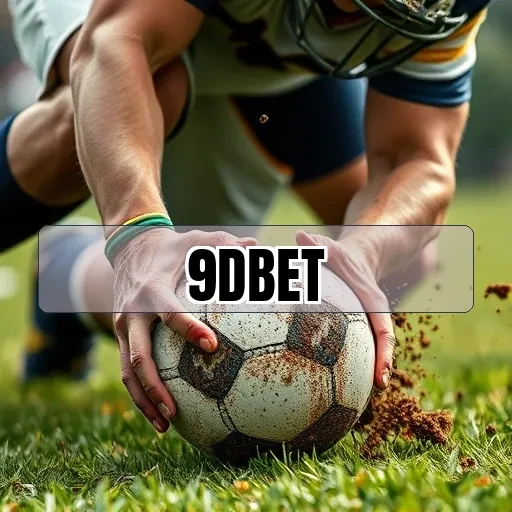 9d bet: A Segurança que Conquista Jogadores Brasileiros Todos os Dias